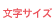 文字サイズ